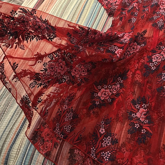 Anthropologie Rosa Lace Dress - Picture 6 of 11